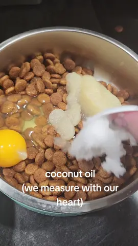 our typical breakfast routine #dogsoftiktok #willowbea #winnielou #sisters #twins #puppylove #dogfood #breakfast #kibble #spiceupyourdogfood  #hillssciencediet #applesauce #coconutoil #eggs 