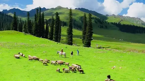 [P4] Tân Cương, những hình ảnh như tranh vẽ thế này chính là Tân Cương. Trung Quốc còn quá nhiều thử để chúng ta khám phá phải không nào? #canhdep #trungquoc #medulich #dulichtrungquoc #fyp #tancuongtrungquoc  #dulich #