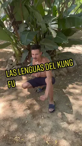 El palo del mono 🐒 #dale❤️  #parati  #Viral #Zepequeño 
