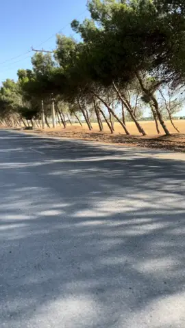 #ماشاءالله_تبارك_الله_اذكروا_الله#هيدروليك_توطاي#اكسبلور_فولو_لايك_كومنت_تعليق_دعمكم_ورح#اكسبلورexplore_o🤭💙_تصويري📸#دمعه_الكل🤍  