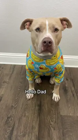Happy Father’s Day! #dogs #dogsoftiktok #dogvideos 