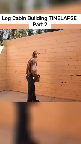 Log Cabin Building TIMELAPSE Part 2 #build  #house  #cabincrew  #cheap  #woodworking  #framerate  #viral   #fyp   #foryourpage