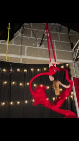 Swinging #circus #show #aerial 