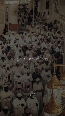 تدبروا الأيات🤍#قران #ماهرالمعيقلي #قران_صلي_علي_النبي 