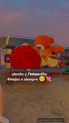 Te amo mucho fernandita sos mi todo🥺💘nosé como expresarme pero sabes que eres muy especial para mí ✨👑@...💔 #ferlamejoramiga💌💞 #fermicasita🏡💘💟 #fermimejasipor?💍❤️‍ #fermia😾❤️ 