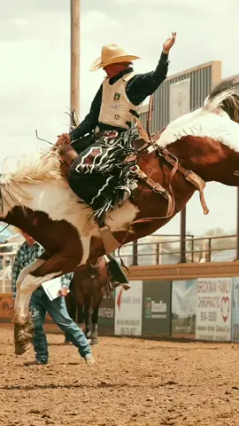 Cowboys and Broncs  #doublejquarterhorses #cowboy #saddlebroncriding #rodeo #weareprorodeo #western #broncs 