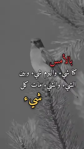 #اكسبلور #tiktok #اقتباسات #viral 