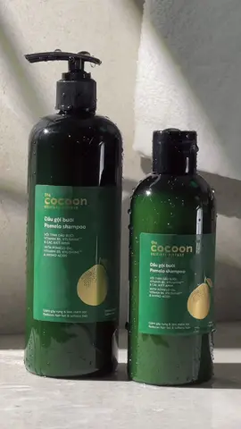 Dầu gội bưởi KHÔNG SULFATE nay đã có BIG SIZE 500ml, tiết kiệm hơn!  #Cocoon #CocoonVietnam #Myphamthuanchay #Vegancosmetics 