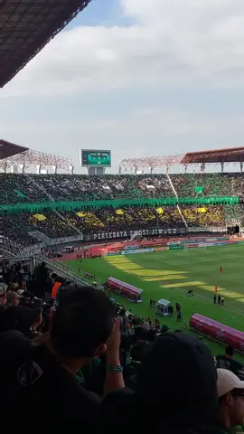 SPIRIT OF CHAMPION🔥👊🐊 #greennord #greennordtribune #persebayaemosijiwaku #persebayasurabaya 