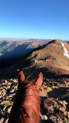 A couple of our favorite memories from over the years this Monday. We cover 5 different states in these clips, and this year I’m hoping to be able to add another 2 or 3 to that list! #morningmeditation #montana #arizona #colorado #utah #wyoming #horses #horseriding #lifebetweentheears #reddeadredemption2 #greengoldandblues