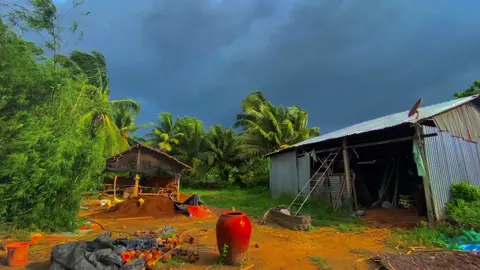 #CapCut Trời chuyển mưa rồi má ơi🥺#xuhuong #fyp #miêntayquetoi #84l1_travinh #nhacchillmoingay #vùngquêbìnhyên 