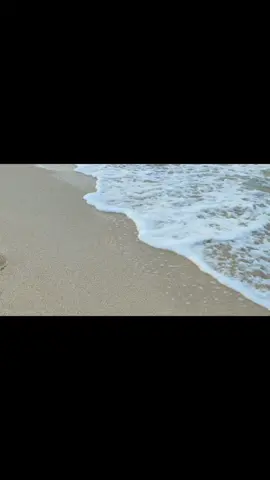 menenangkan #fyp #fypシ゚viral #explorepantai #sea #pantai #ombak #burunh #suaraombak #suaraburung #alam #landscape 