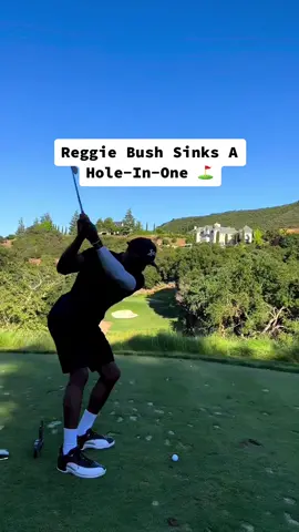 Reggie Bush: two-sport athlete 🔥 #reggiebush #golf #holeinone (via reggiebush/IG)