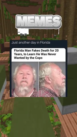 Actually Funny Memes #memes #Minecraft #funnymemes 