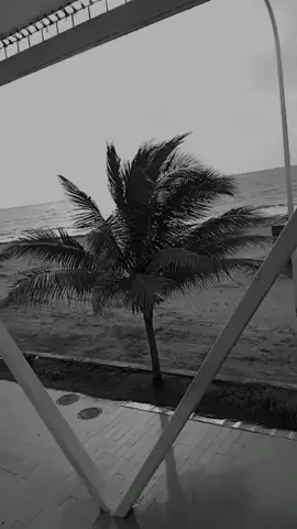 Oe Convoca Eso Qlo 🏍️❤️ paraty#tik TOK 👾