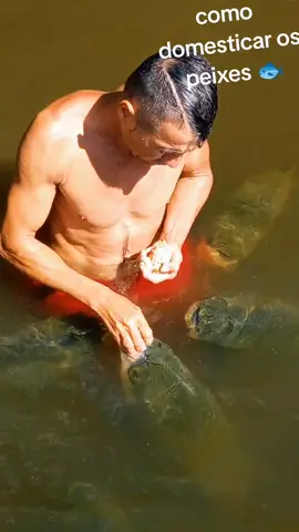 #valdemir  encantador de peixes gigante 