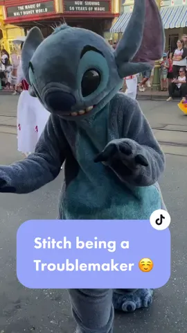 He got scolded 🥲 his badness level is a little out of control these days, but he’s still adorsble 🥰🥰🥰  #stitch #disneycharacter #disneyworld #disneyparade #disneyfyp #disneymagic #disneyblogger #distok #disneyparks #liloandstitch #experiment626 