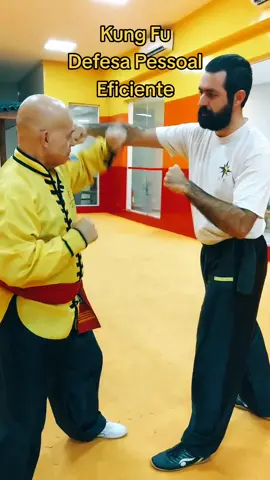 #tskf #kungfu #Kungfuadistancia #kungfuonline #wushu #louvaadeus #artemarcial #artesmarciais #shaolin #chikung #camisadeferro #humor