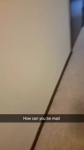 Guilty again 🤣 #dogsoftiktok #dog #guilty #badd 