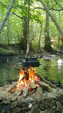 Magical 💚 Credit 📸 - ig @5000dennis_nature #nature #adventure #camping #Outdoors #wilderness #Hiking #explore #wanderlust #outdoorlife #campinglife #fire #campfire #campsite #fyp #camperscorner 
