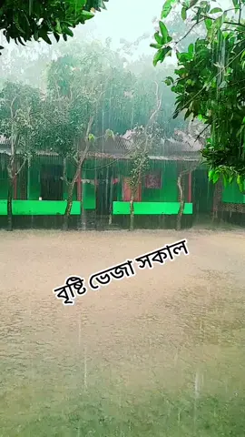 🥀🥀বৃষ্টি ভেজা সকাল 🥀🥀#কপি_লিংক_করো_প্লিজ_প্লিজ #foryoupage❤️❤️❤️foryou💞💞💜💞💞💜viral❤️❤️❤️ #bdtiktokofficial🇧🇩 