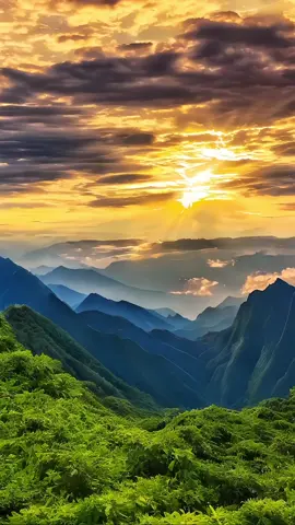 so beautiful ❤️ #peaceful #aestheticvideos #foryoupage #vibes #peaceandnature🌿 #heaven #peace 