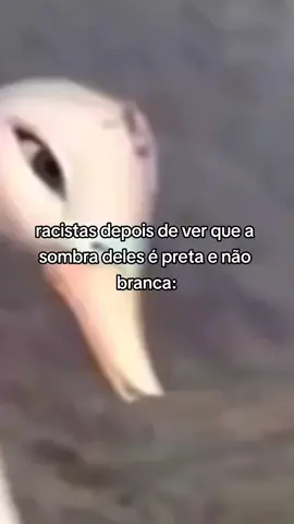 ##memevídeo #vaiprofycaramba #aleatório #zueira #verdades #humornotiktok 