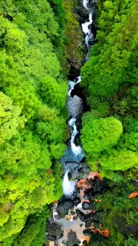 Close to nature#tiktok #scenery 