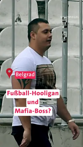 Organisierte Kriminalität in Belgrad ist eng verstrickt mit der Fußball-Hooligan-Szene - und auch mit hochrangigen Politikern, der serbischen Polizei und dem Geheimdienst. #fussball #mafia #hooligan #politik #serbien #belgrad #weltspiegel