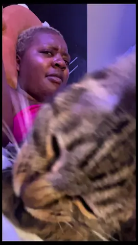 Bro its not goin nowhere 🤨 #fypシ #catsoftiktok #cats #tabbycat #tabby #tabbycats #cattok #catsoftiktok 