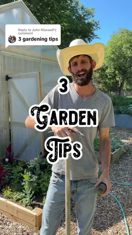 Replying to @John Maxwell   3 Garden Tips 🥒🥕🥬 #carrot #zucchini #cabbage #food #Foodie #foodtiktok #helpful #fact #facts #funfacts #tip #tips #EduTok #garden #gardening #plants #plant #beginner #shilohfarm #viral #homestead #farm #farmer #farmtok #farming #gardening101 #flower 