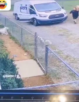 #dog #fedex #funny #attack #viral #fyp #laugh #hahaha #run #viral #fyp #follow 