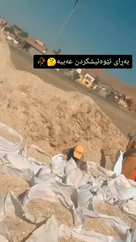 نانێکی حەڵا ڵ وژیانێکی سادەو دەستی ماندوو سەربەزیە لەخوای گەورەبەزیادبێ😌😇#ئەکتیڤبن🥀🖤ـہہـ٨ــہ #daikagyan9 #اللە_أكبر