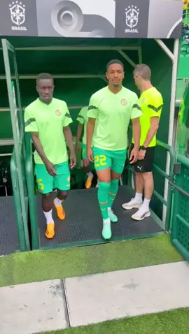 Les lions à l’échauffement à quelques minutes du coup d’envoi du match #BrésilSénégal 🤩✨