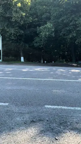 #рекомендации  @Віктор 