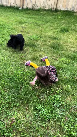 #puppylove #toddlersoftiktok 
