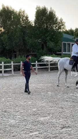 مقتطفات من تدريب كلاس اليوم 🐎#showjumping #horseriding #horsetrining #jeddah #viral #4u #خيل @Basil Aleziddin 
