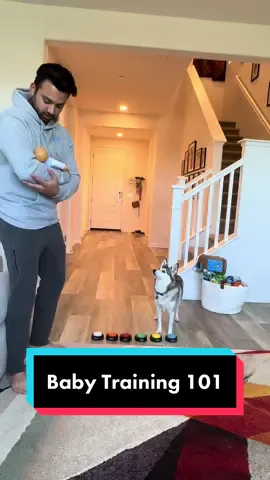 Baby training 101 with Sapphie😂😂😂 #finalcountdown #funnydog #dogs #smartdog #doglover 