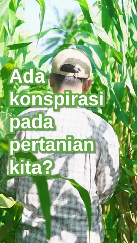 Salah satu dilema pertanian kedepan adalah persoalan organik dan kimia sintetis. Kedua hal itu sama pentingnya melihat realitas saat ini. Menurut kamu, gimana solusi untuk mengatasi persoalan ini Lur? #petani #petanimuda #petaniindonesia🇮🇩🇮🇩🇮🇩🌿🌿 #pertanian #pertanianindonesia #fyp #pestisida #pupuk #pupukorganik 