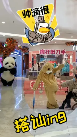 let's goooo 😁 #funnyanimals #funnyvideos #funny #haihuoc #funnyy #cute #trendviral #xuhuongtiktok 