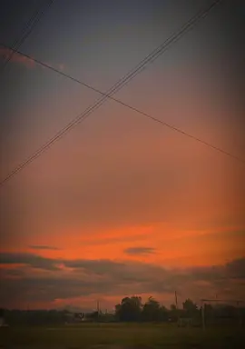 #fyp #fypp #fypdongggggggg #reggae #reggaemusic 