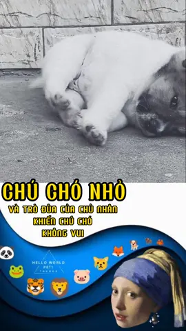 🐕Không vui gì hết.#dog #pet #fyp 