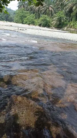 Desa Tanjung Medan, Kabupaten Labuhanbatu, Sumatera Utara || Wisata Air Labuhanbatu #tempatwisatadirantauprapat #rantauprapat #rantauprapatsumatrautara 