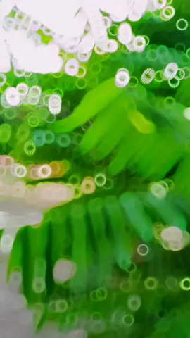 udah jarang up, soalnya gada yg baru msih gini gini aja.☕#satriafuindonesia #satriafu150 #tsid🇲🇨 #satriafu #mothaistyle #ring17menolakpunah #masukberanda #gkfyp #masukberandamuu #fypシ #viral 