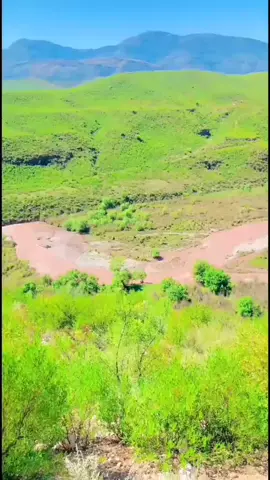 rasha 1 zal 🖤🖤🖤🖤🚶#javelinboy #javelin #throw #100k #viral #foryou #foryourpage #foryou #foryou #foryou #foryou #foryou 