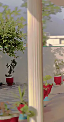 🌸 #Ranjha♥️ #رانجھا🔥 #CapCutVelocity #CapCut #inspiredawesomelife #growmyaccount #WeLoveToSmile #foryoupage #foryou #illu 