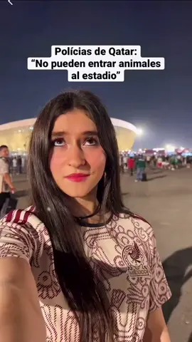 ¿Cómo que no 🤨 