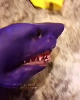 Part 2 #puppet #theshark #pov 