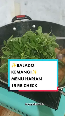 masak apa lagi ya? #CapCut #balado #racunintiktok #TikTokImpact #medhokclub #anakkost #masakdirumah #menuharian #menuviral #cue #terongbalado #tempegoreng 