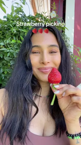 Great family day, the strawberries were sweet and the kids had a blast! #strawberrypicking #strawberries 